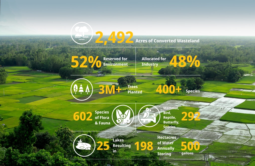 Green forest representing climate action and sustainability