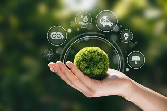 Sustainable innovation and circular future